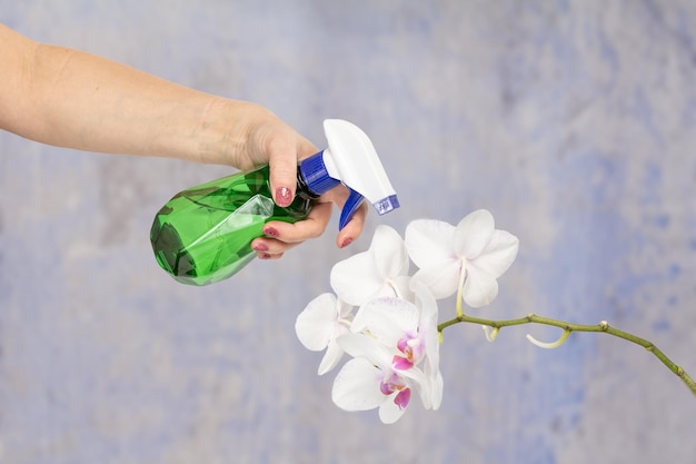 ambi pur aktywny spray do toalet dzika szalwia i cedr