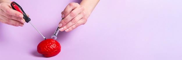 eveline cosmetics nail therapy odzywka do paznokci