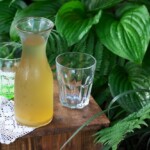 Sok z pokrzywy ile można pić każdego dnia?